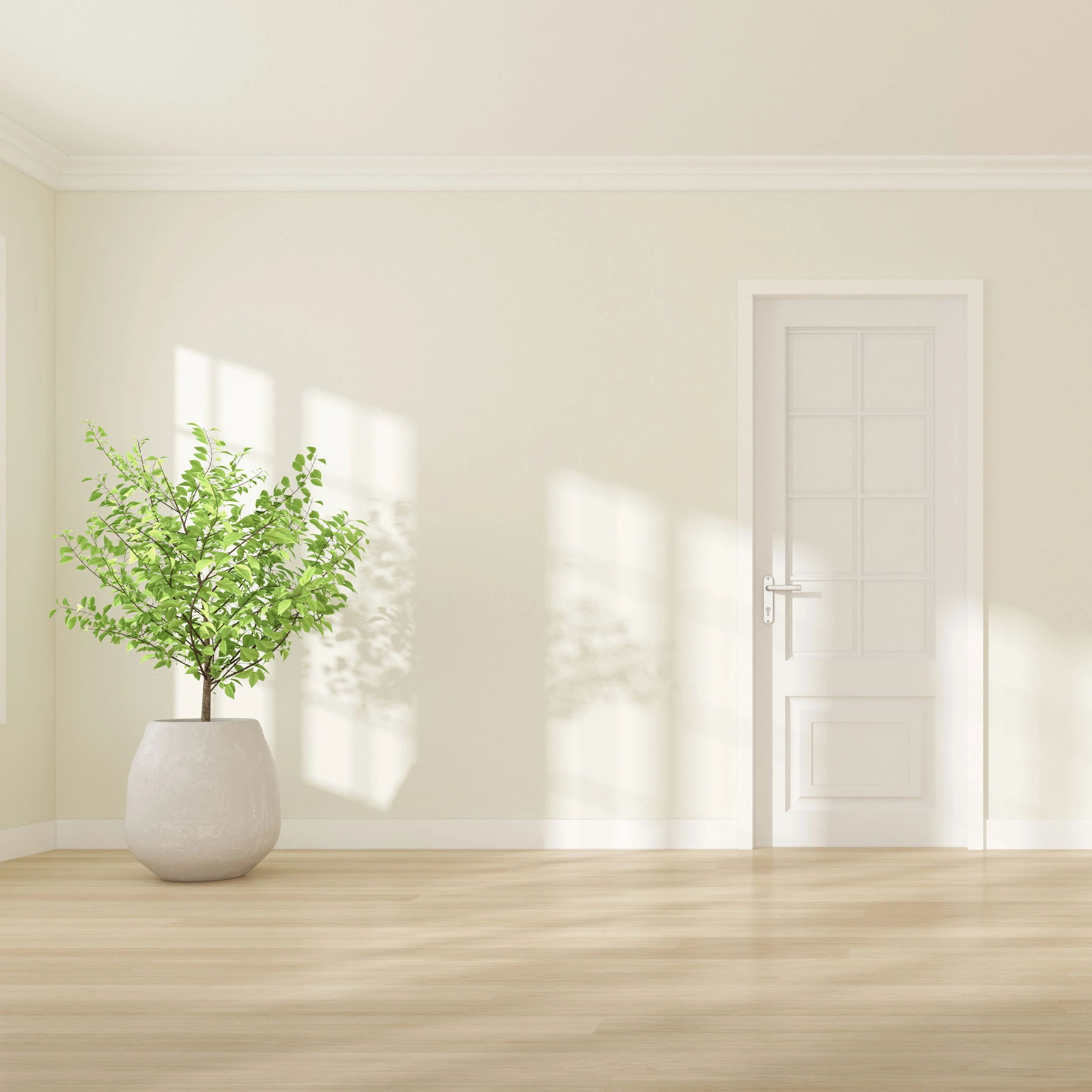 קיר בצבע שמנת ודלת פנים מעוצבת של פנדור