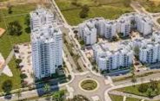 מבט על - עיר היין - אשקלון