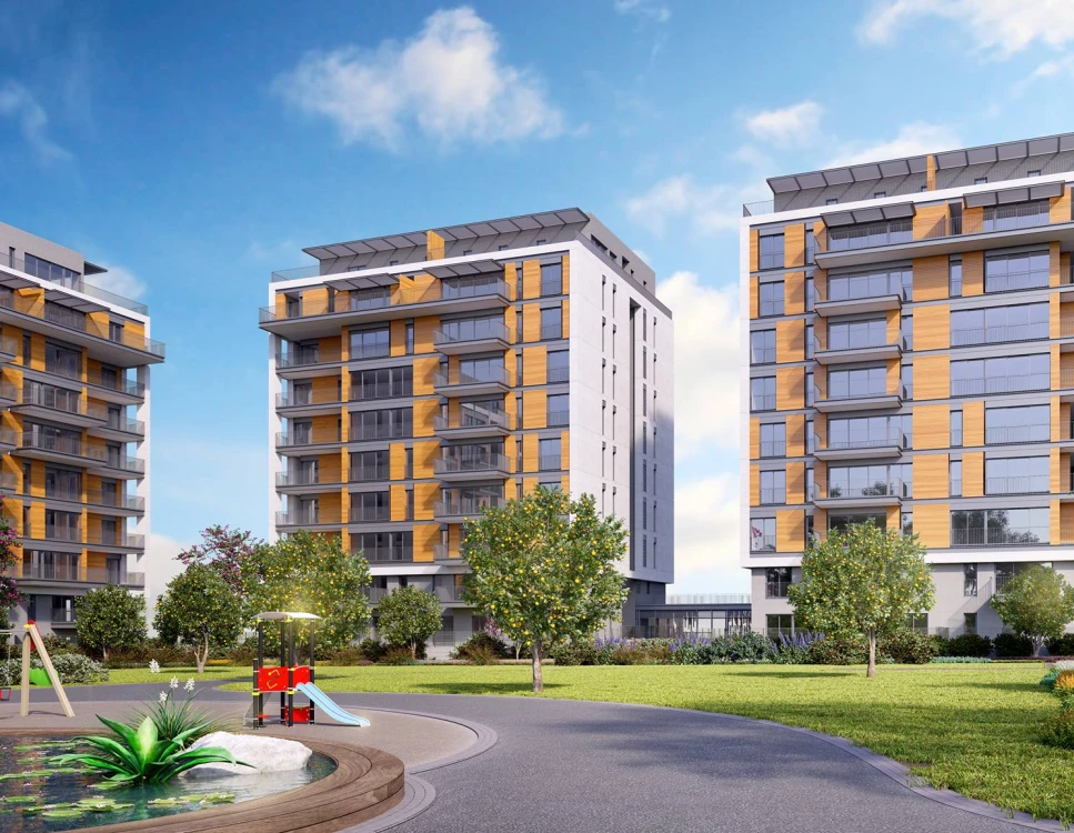 סביבה - צמרות גליל ים