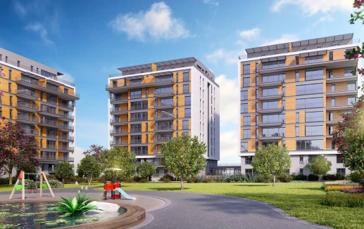 סביבה - צמרות גליל ים