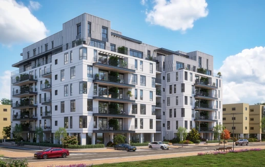 מבט צד, פרוייקט הגדה