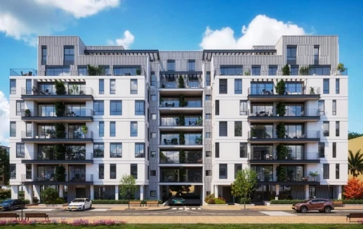 מבט קדמי, פרוייקט הגדה