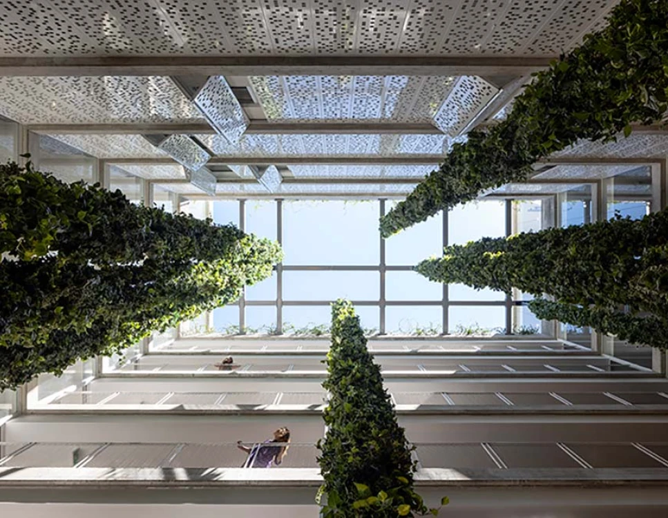 פטיו, אחד העם 13, קנדה ישראל