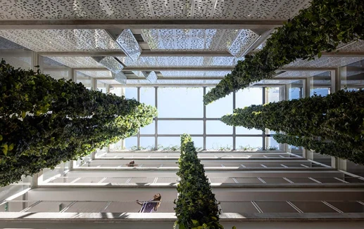 פטיו, אחד העם 13, קנדה ישראל