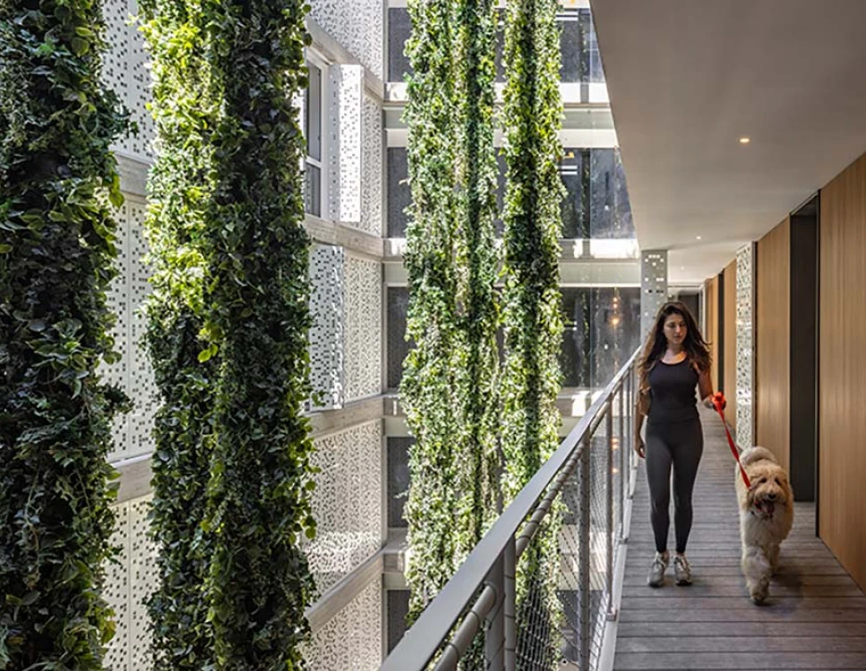 מבט מבפנים, אחד העם 13, קנדה ישראל