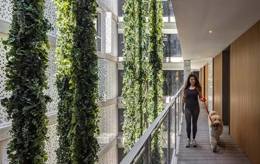 מבט מבפנים, אחד העם 13, קנדה ישראל